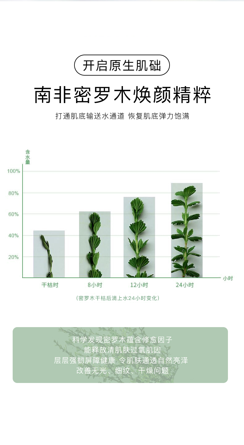 积雪草多效修护面膜_06